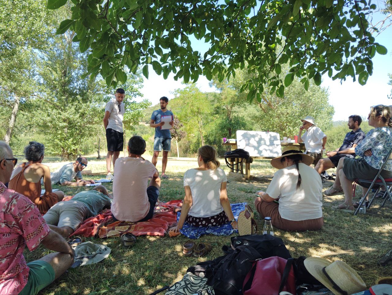 Plénière du 29 juin 2025